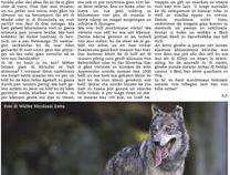 SAIBAR NO SICHAR IN ÜNSARNE BELDAR?